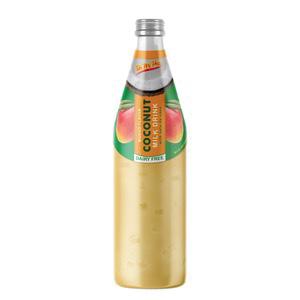 DMP - COCONUT MILK MANGO 1/16.9 OZ (24)